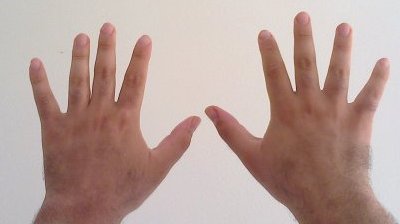 Two_hand,_ten_fingers